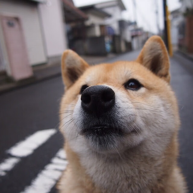 中国篮球职业联赛赛程安排优化研究,中国篮球职业联赛时间表