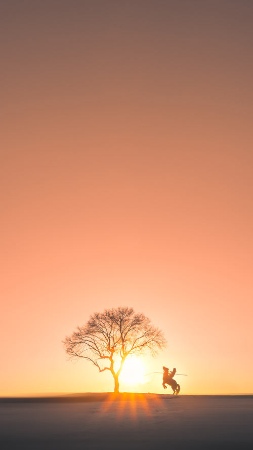 体育教学创新评价方法研究,体育课堂教学创新效果与成果