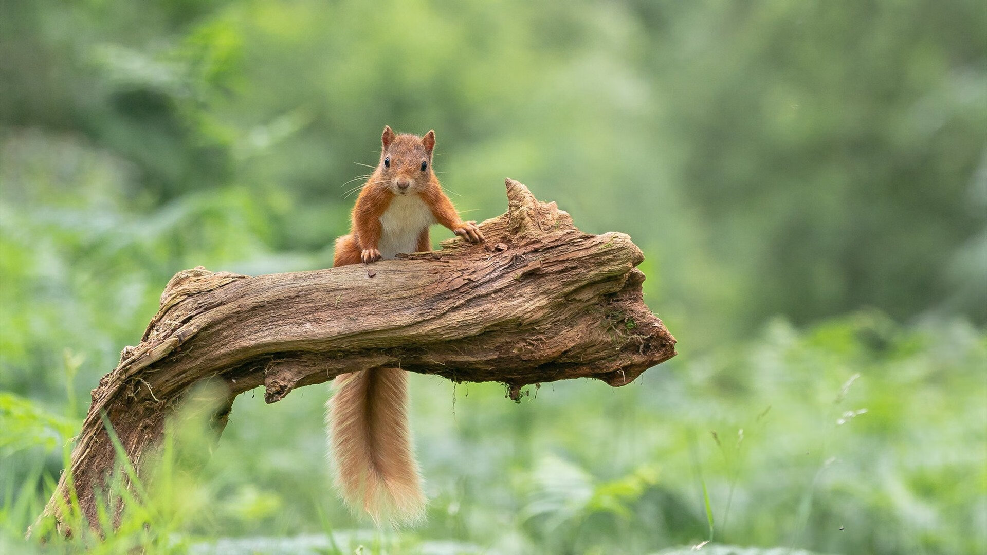 城市健身空间资源合理配置研究,城市健身空间资源合理配置研究论文