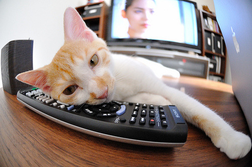 法甲球队利用视频分析优化防守站位与协防效率,法甲球队地理位置