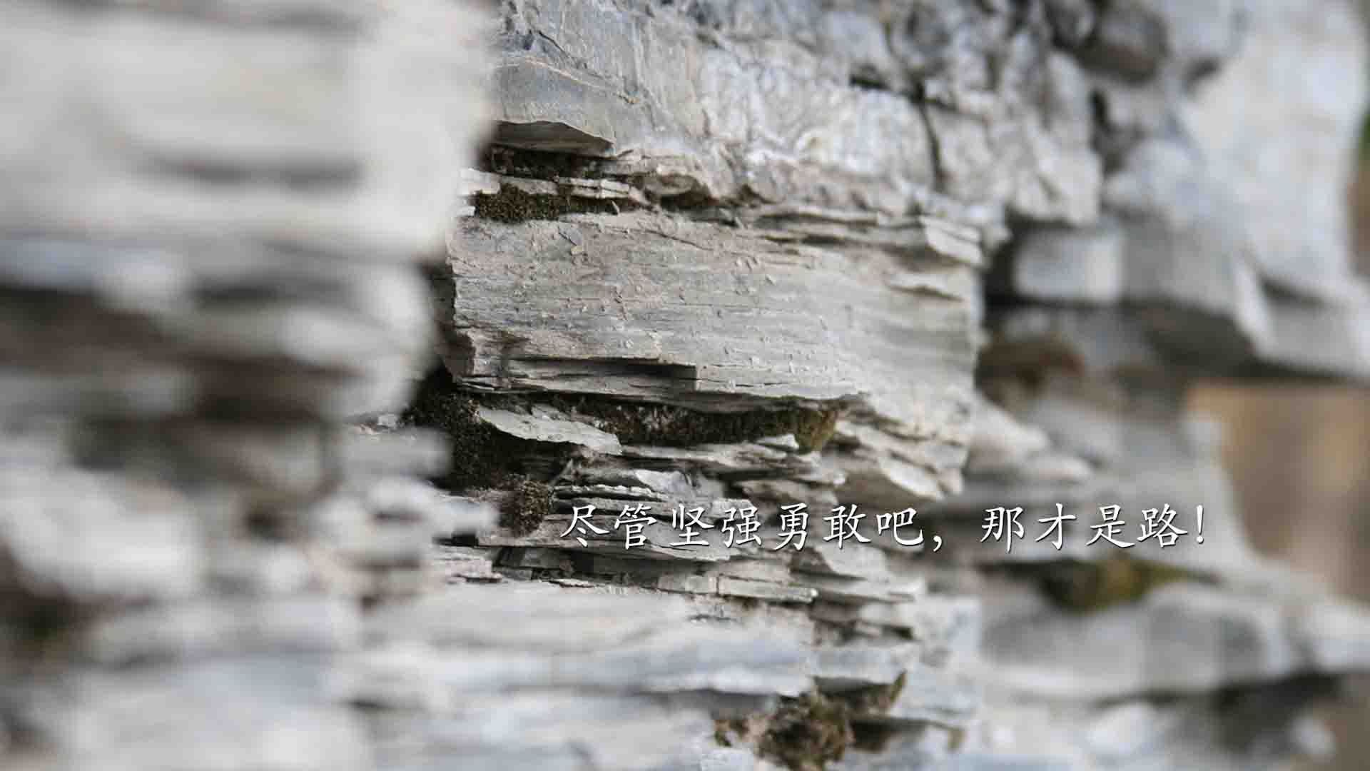 青少年体育运动心理素质测评体系构建,青少年运动员心理训练