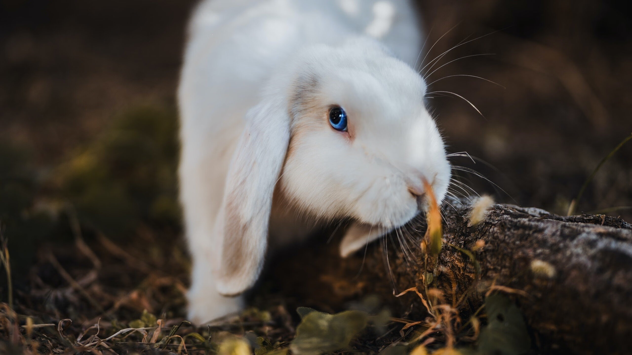 华体会官网-中超球队攻防两端调整见成效，中超战术