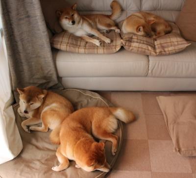 华体会app下载入口-国家队整体战术风格不清晰，国家队整体战术风格不清晰怎么办