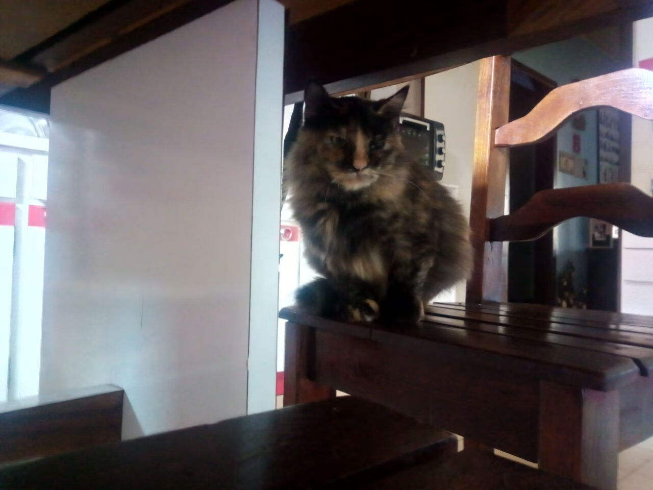 世界杯经典:历史最燃瞬间集锦,世界杯超燃视频