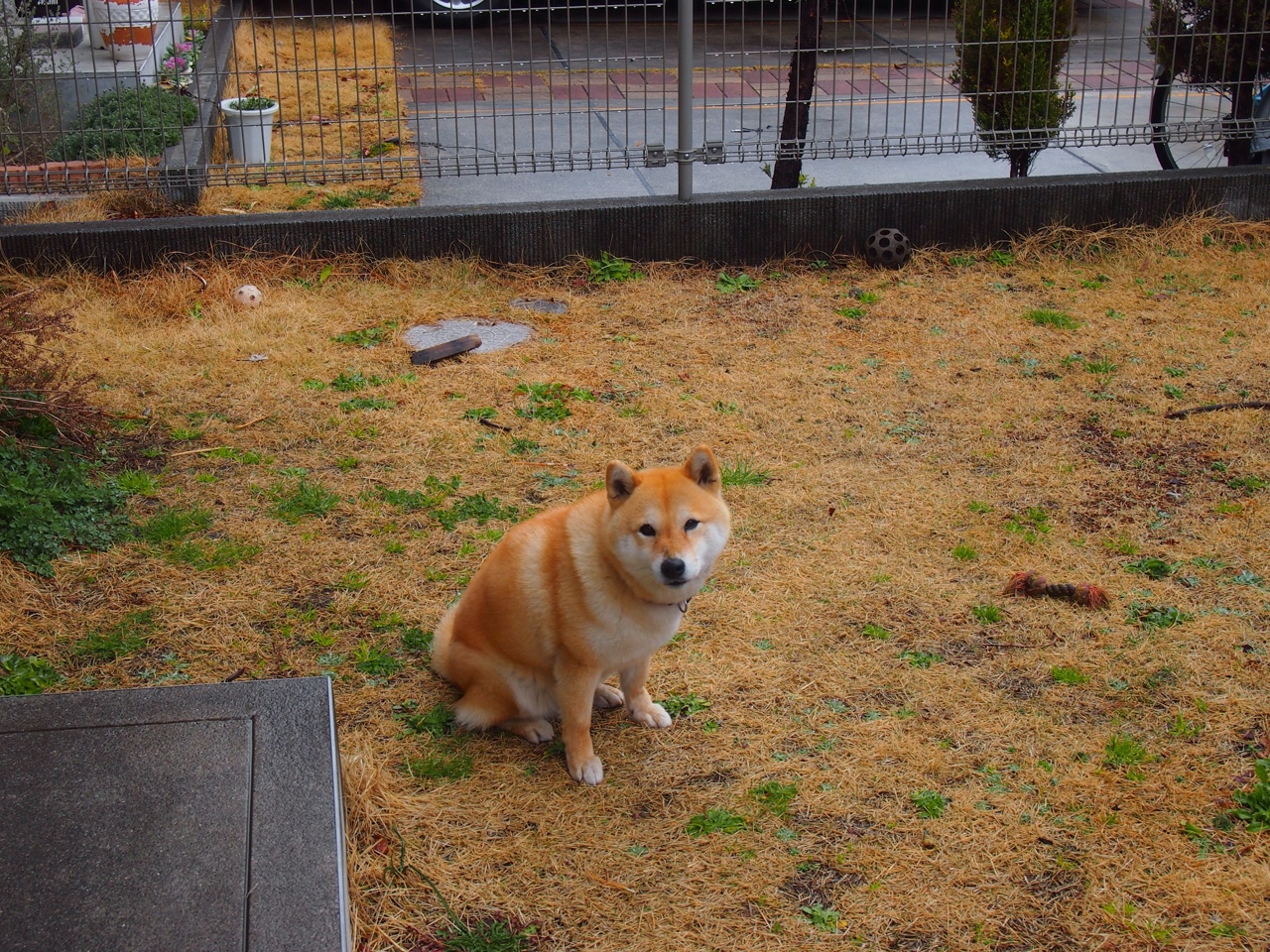 世界杯绝佳瞬间:令人动容的高光时刻集锦,世界杯经典镜头