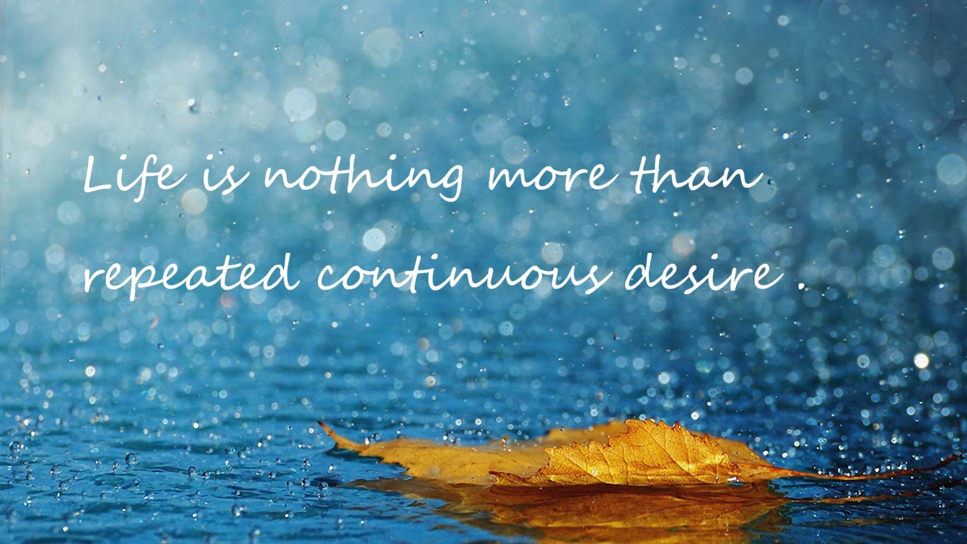 华体会平台-奇才尝试使用三后卫阵容增加进攻空间，奇才后场双枪是谁