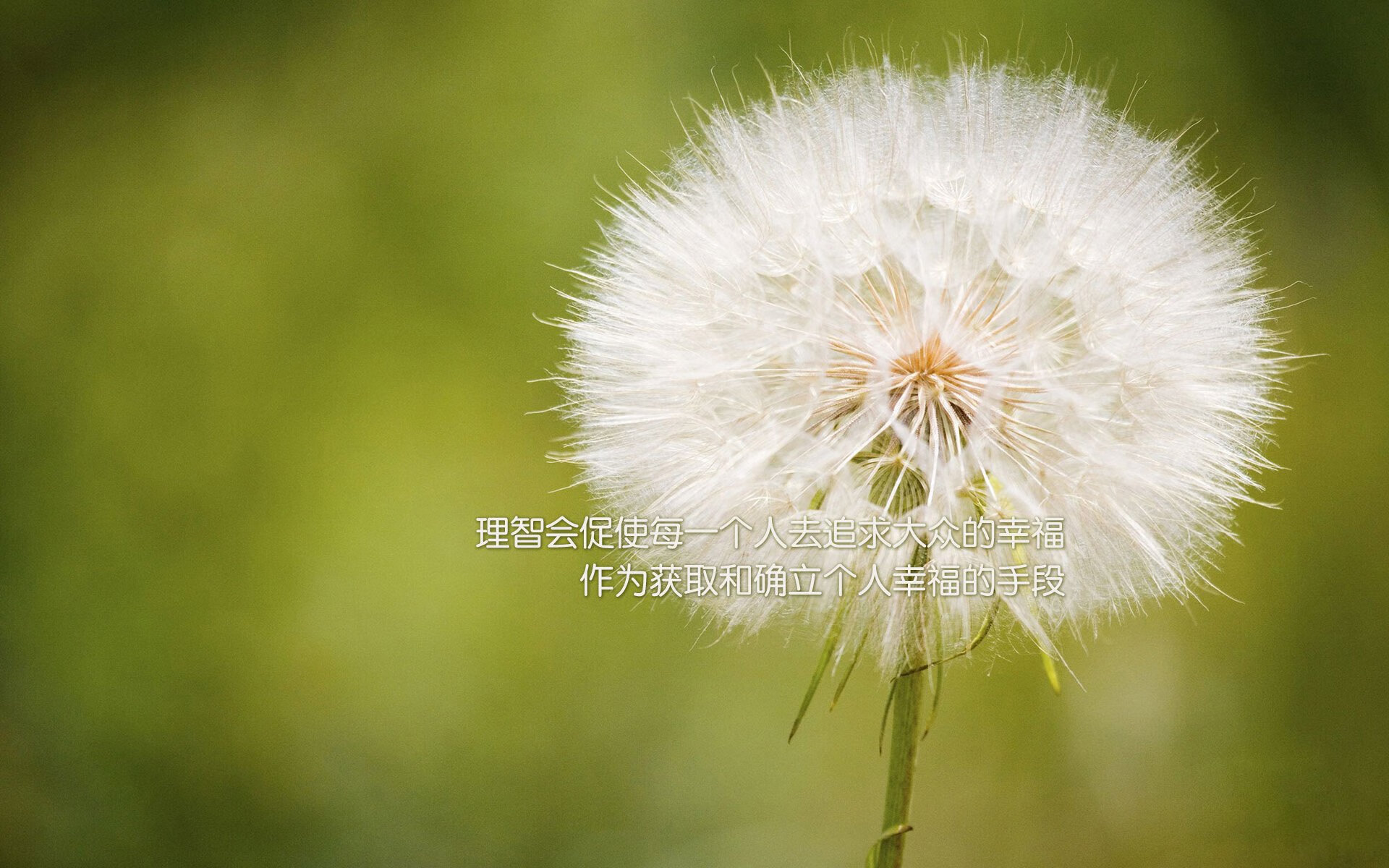 曼联再夺金牌刷新历史中超联赛焦点战,曼联历史十大中场