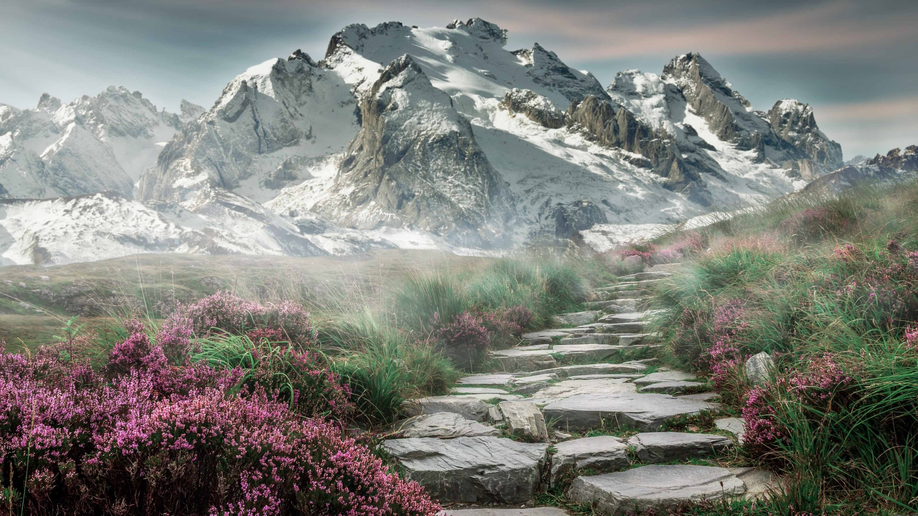 中国篮球如何与校园体育深度融合,中国篮球如何与校园体育深度融合发展