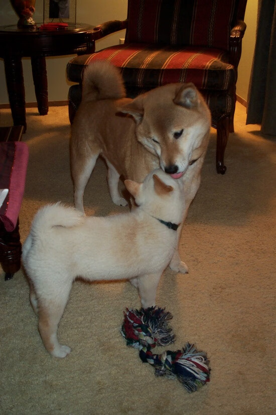 中国足球青训体系提升训练质量和效果，2021中国足球青训现状