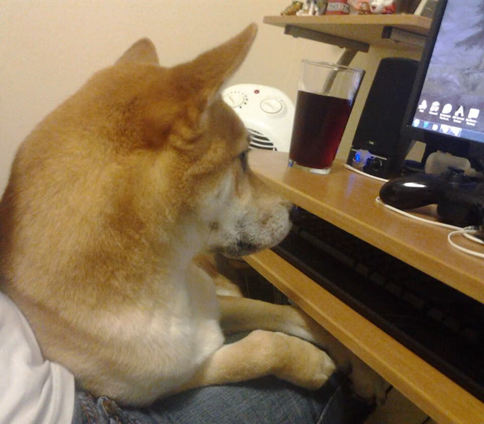 华体会手机网站-中超是否鼓励球迷参与俱乐部发展座谈机制，中超俱乐部的发展